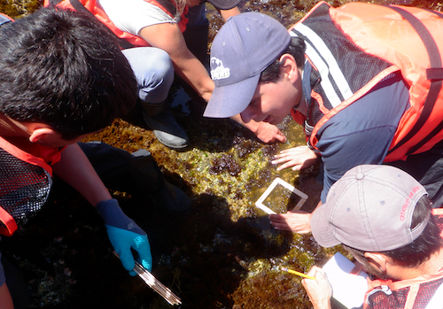 Corey Garza leading CSUMB student researchers at Catalina Island