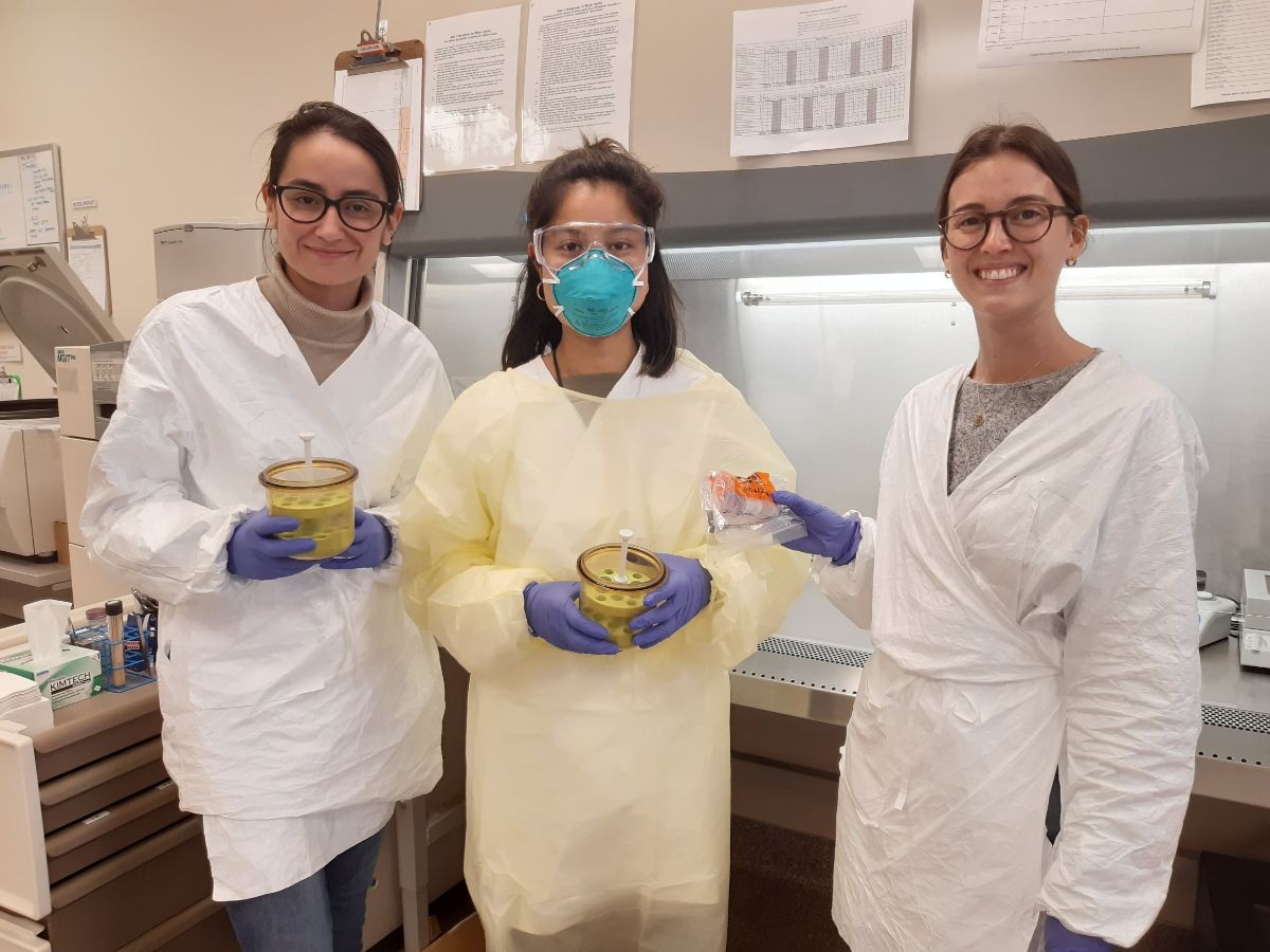 From left: Angela Albanese, Pilar Renta and Melissa Naugle have helped the county increase it's COVID-19 testing capacity by seven times.