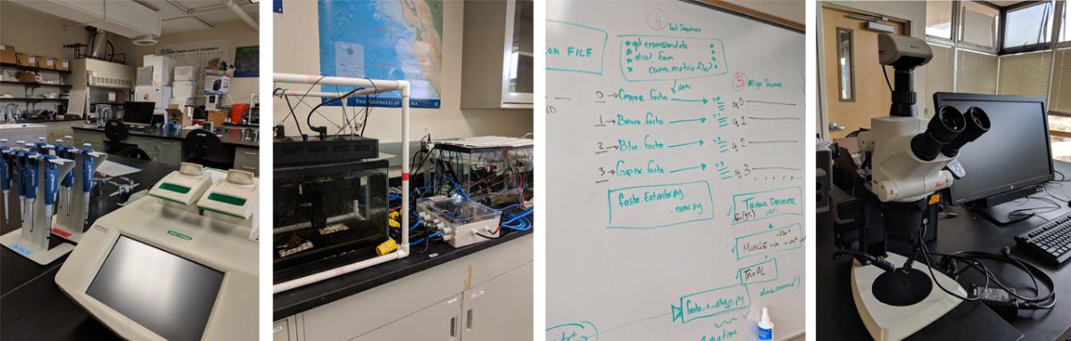 lab resources