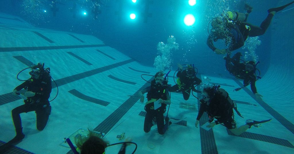 divers in pool