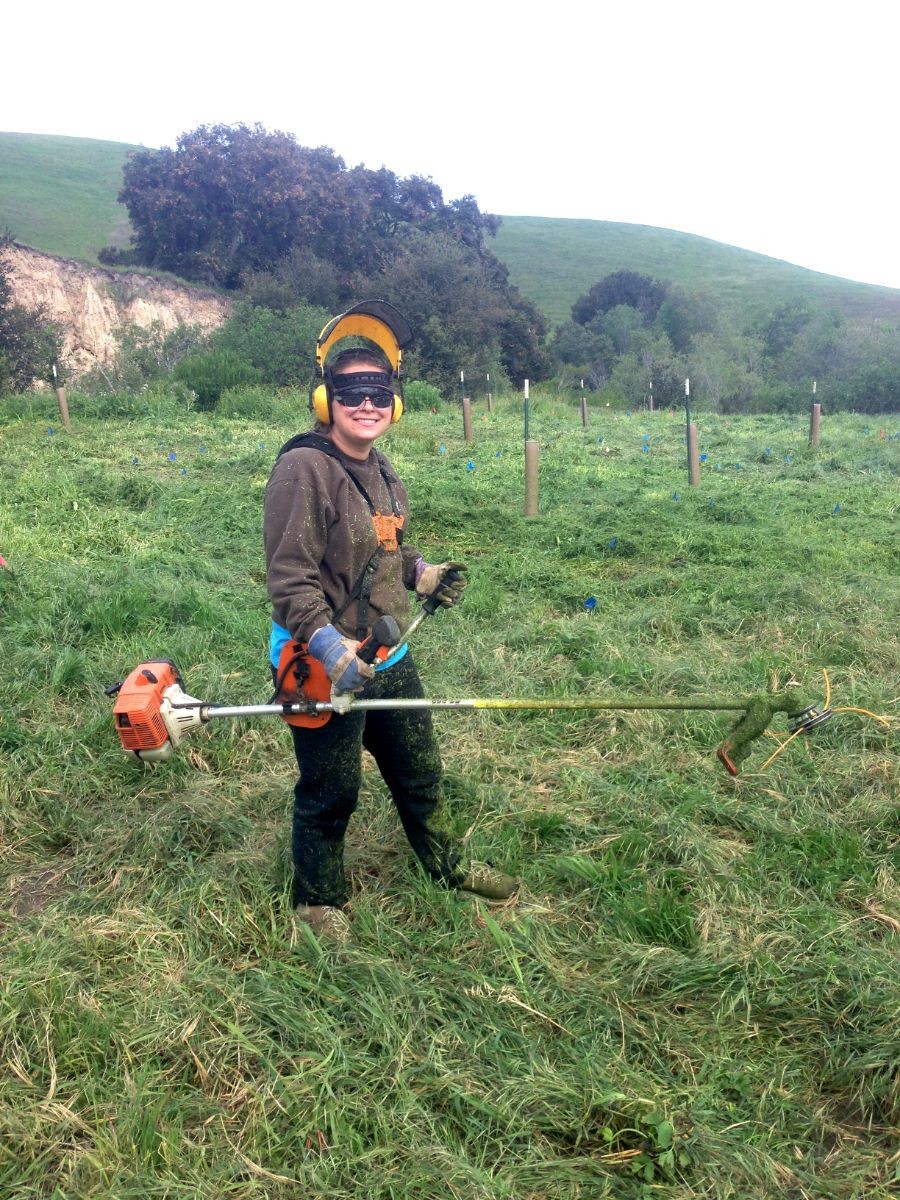 Essa with a weed whacker.