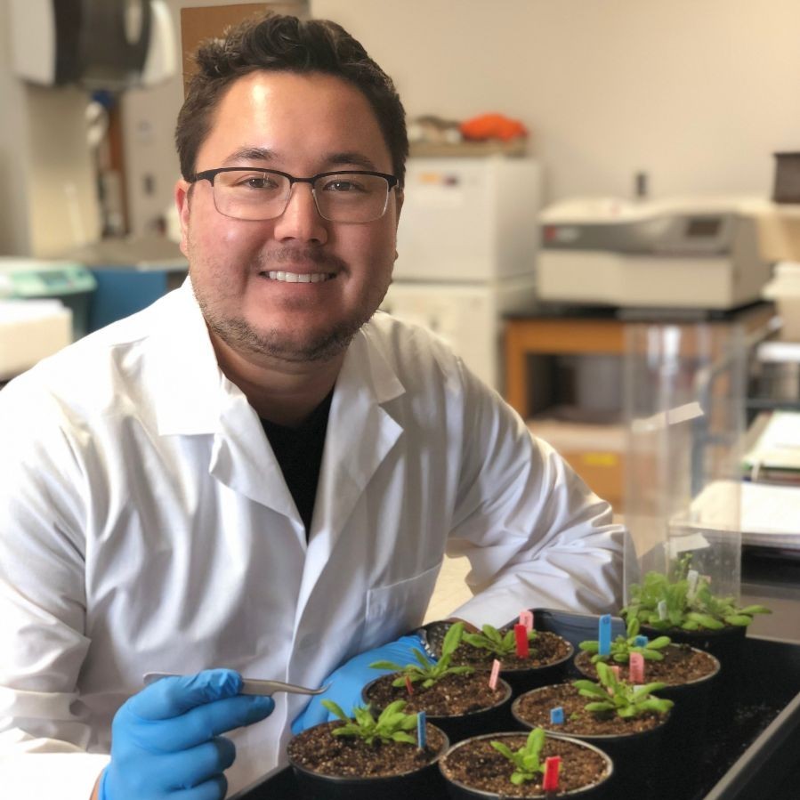 Student working with plants