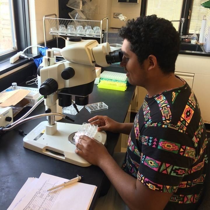 Student looking in a microscope