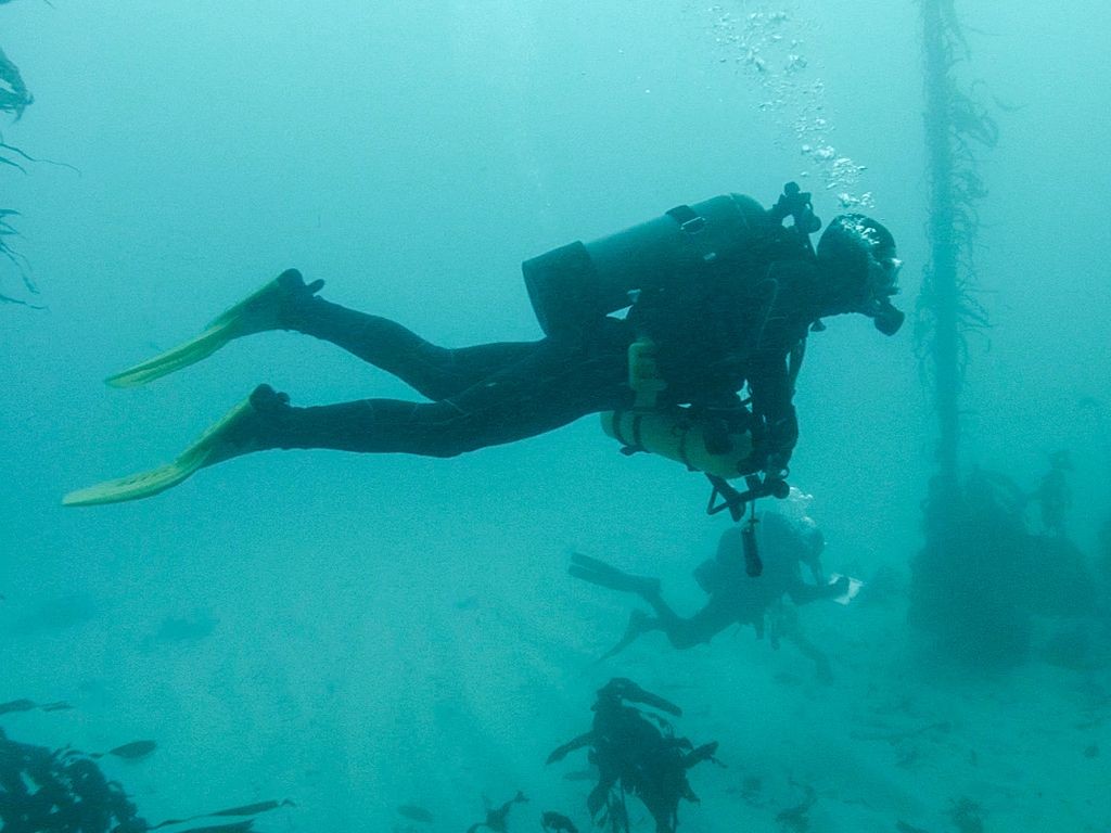 scuba diver