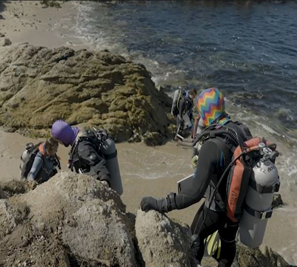 rocky beach dive entry