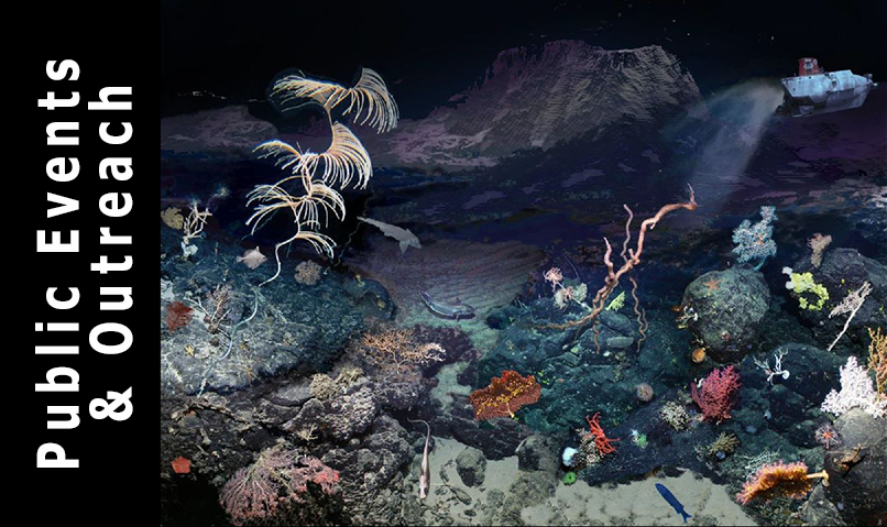 deep sea drawing used as header