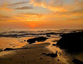 Rote Program use only: image of sunset on beach