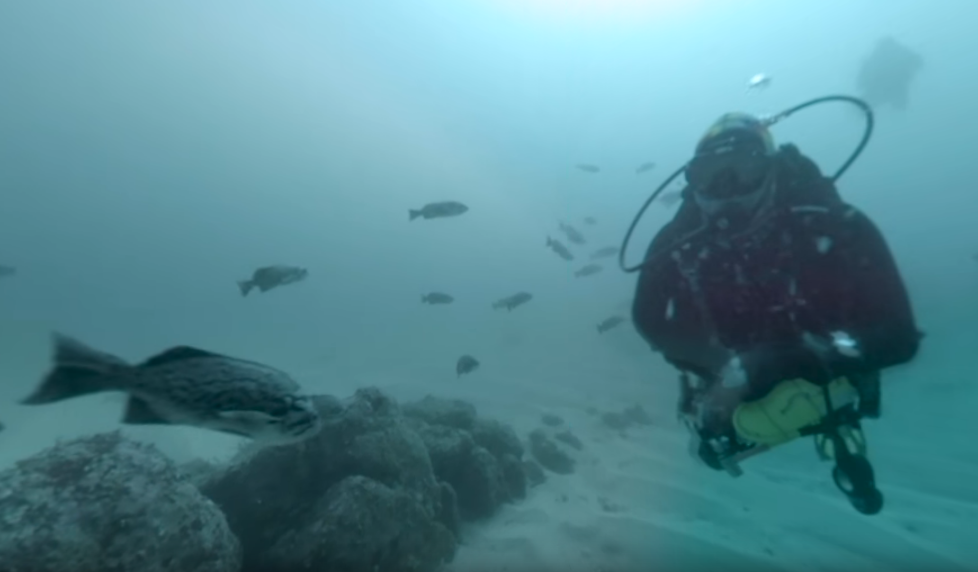 diver in rocky habitat