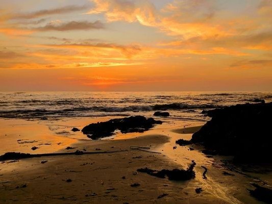 The beach at sunset