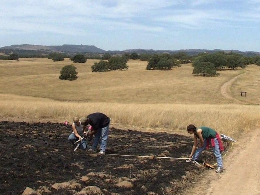 Students taking measurements in a grassy field