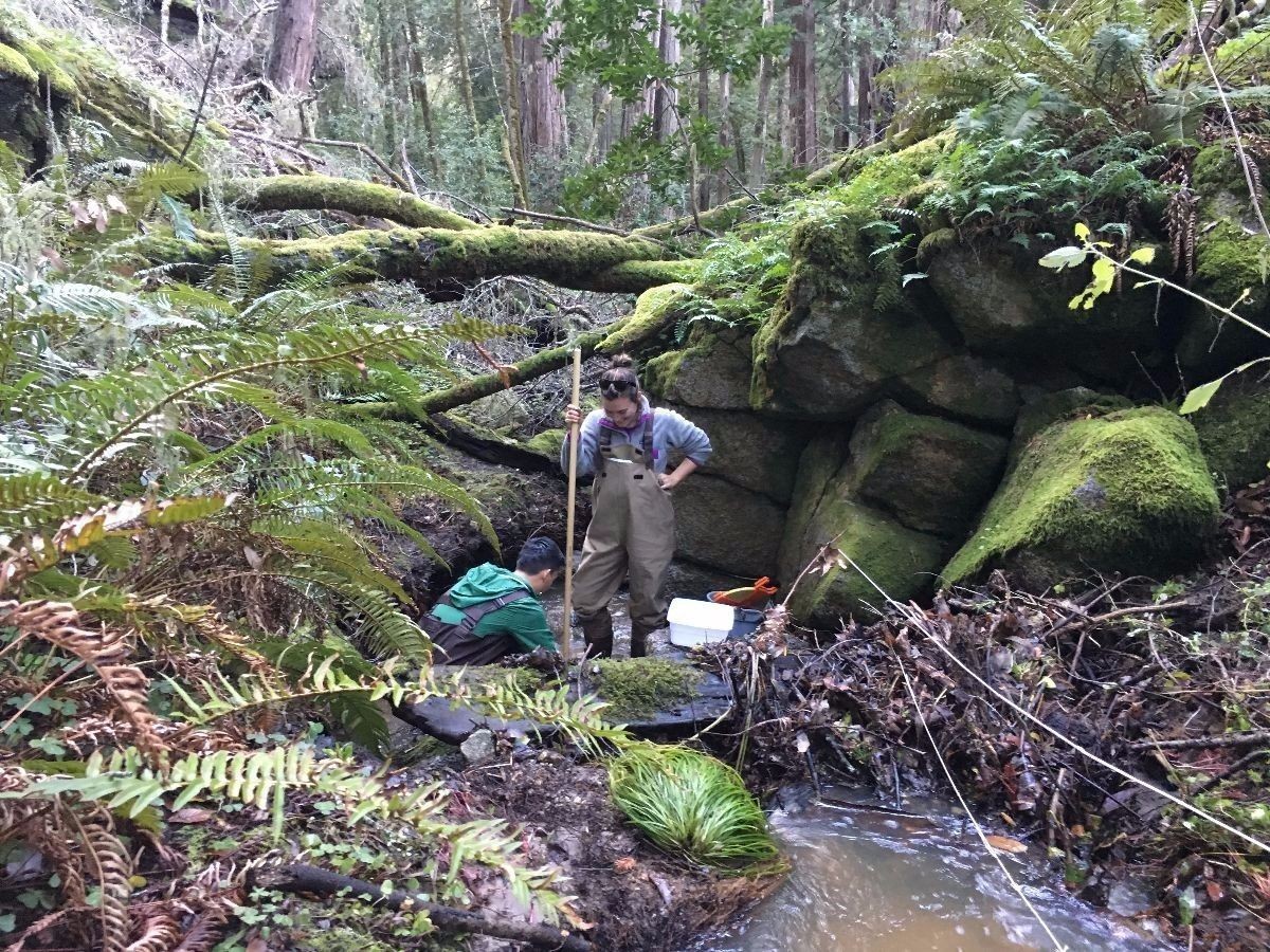 Students taking measurements in a stream