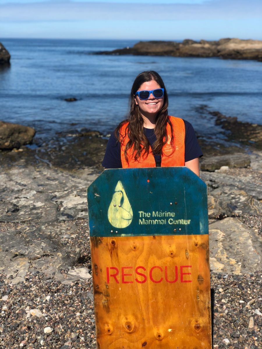 Tiffany working with the Marine Mammal Center