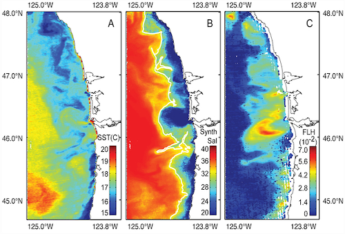 seasurface models