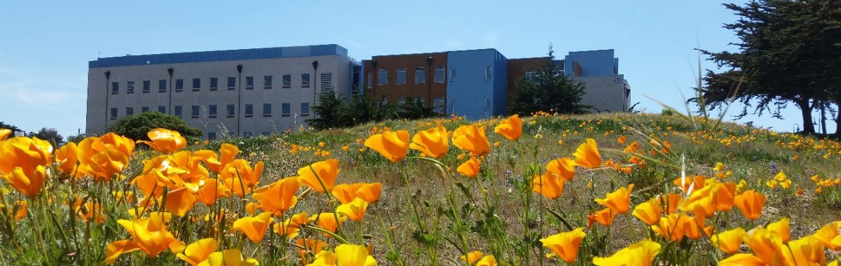 photo of a building on campus