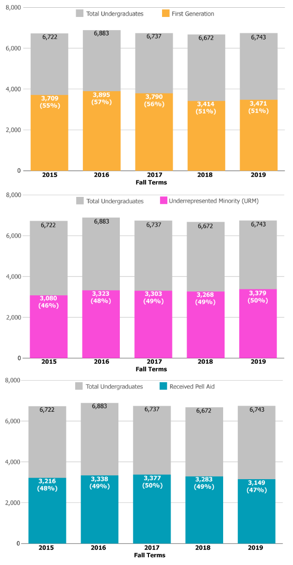 Undergraduate enrollment (underrepresented groups). See accessible data table.