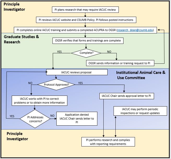 IACUC Process in a Flow Chart