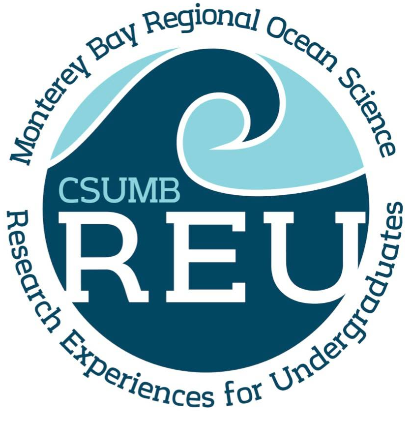 REU Logo