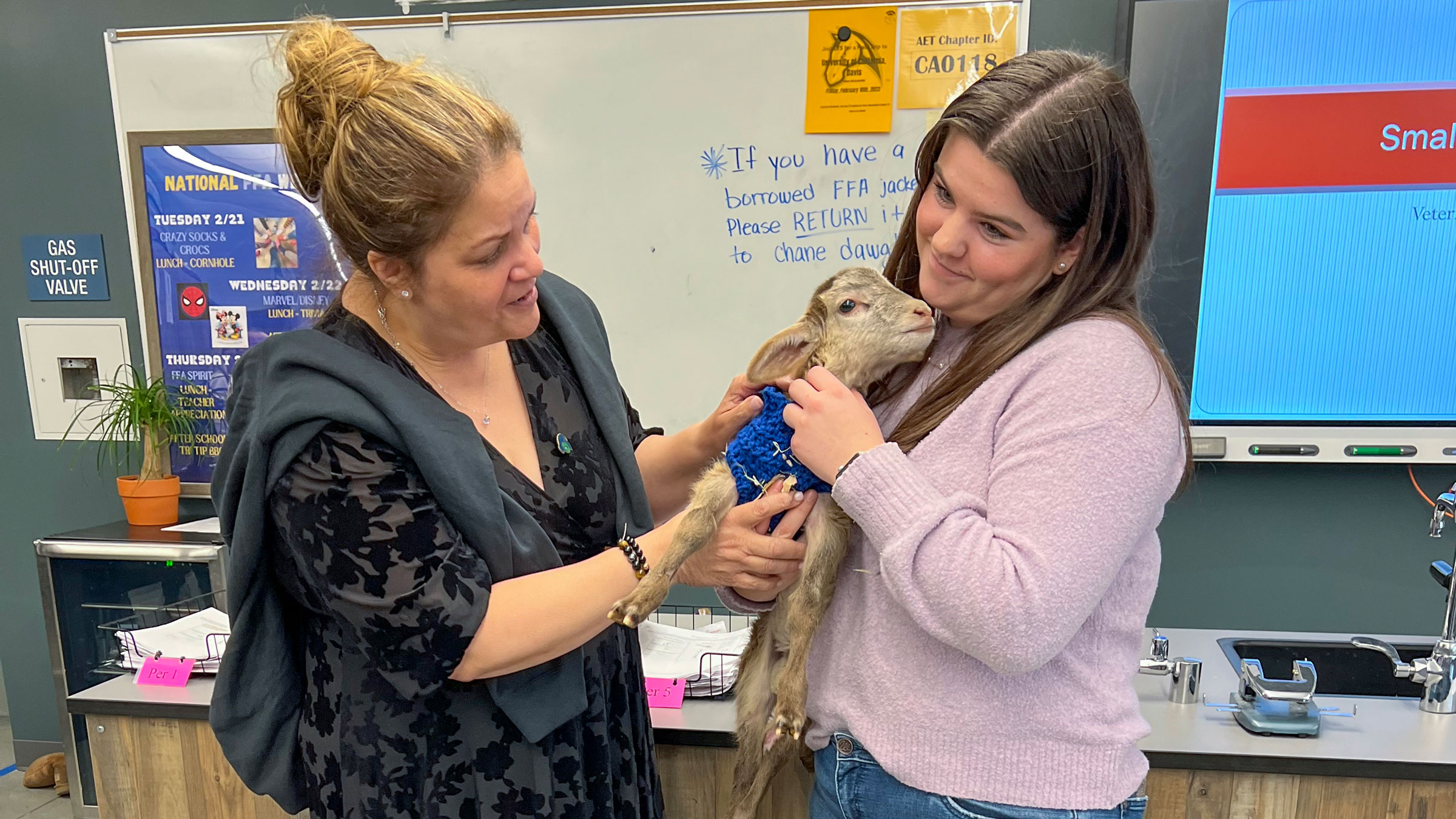 President Vanya Quiñones and a Future Farmers of America students hold a goat.