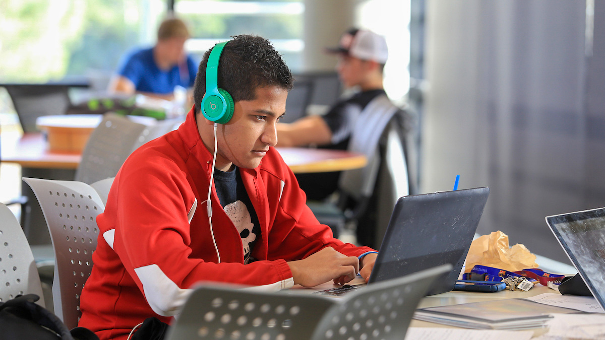 Student studying in library