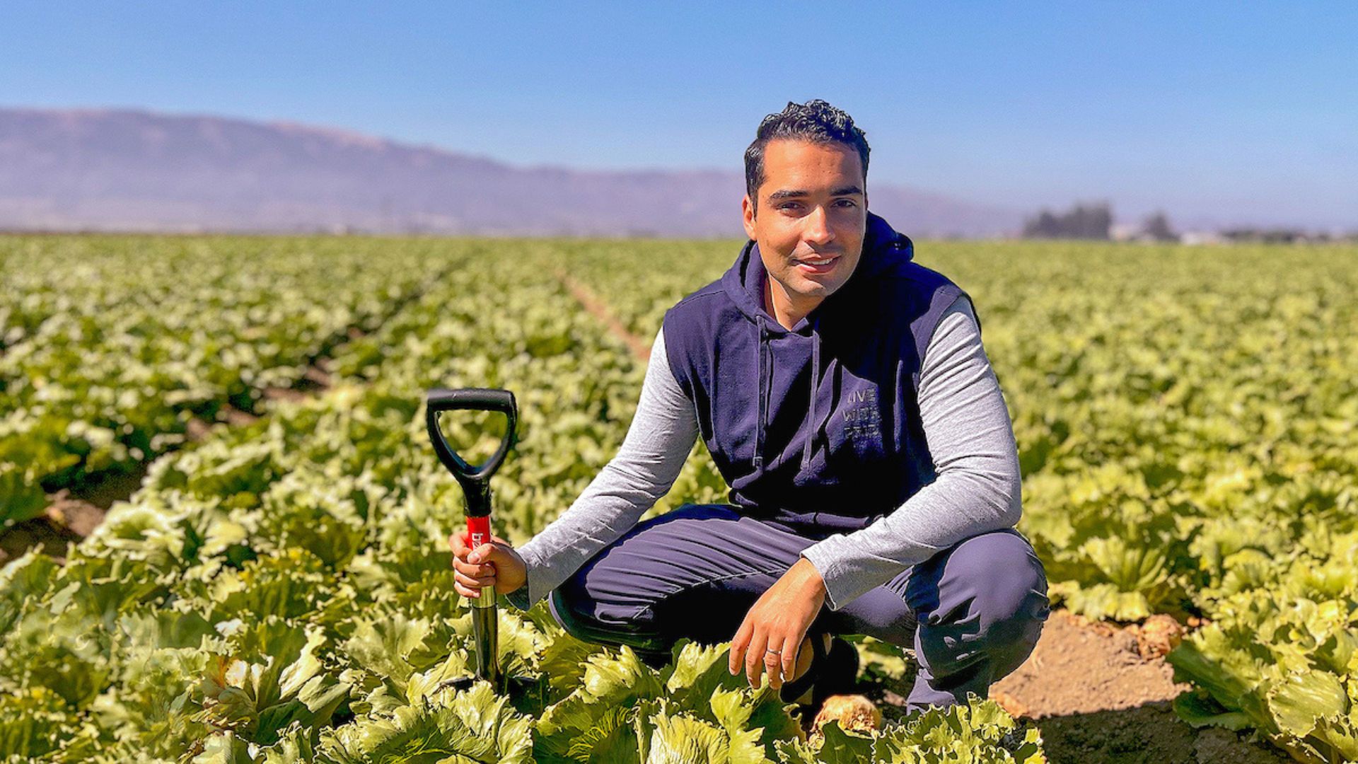 J.P. Dundore-Arias lettuce field