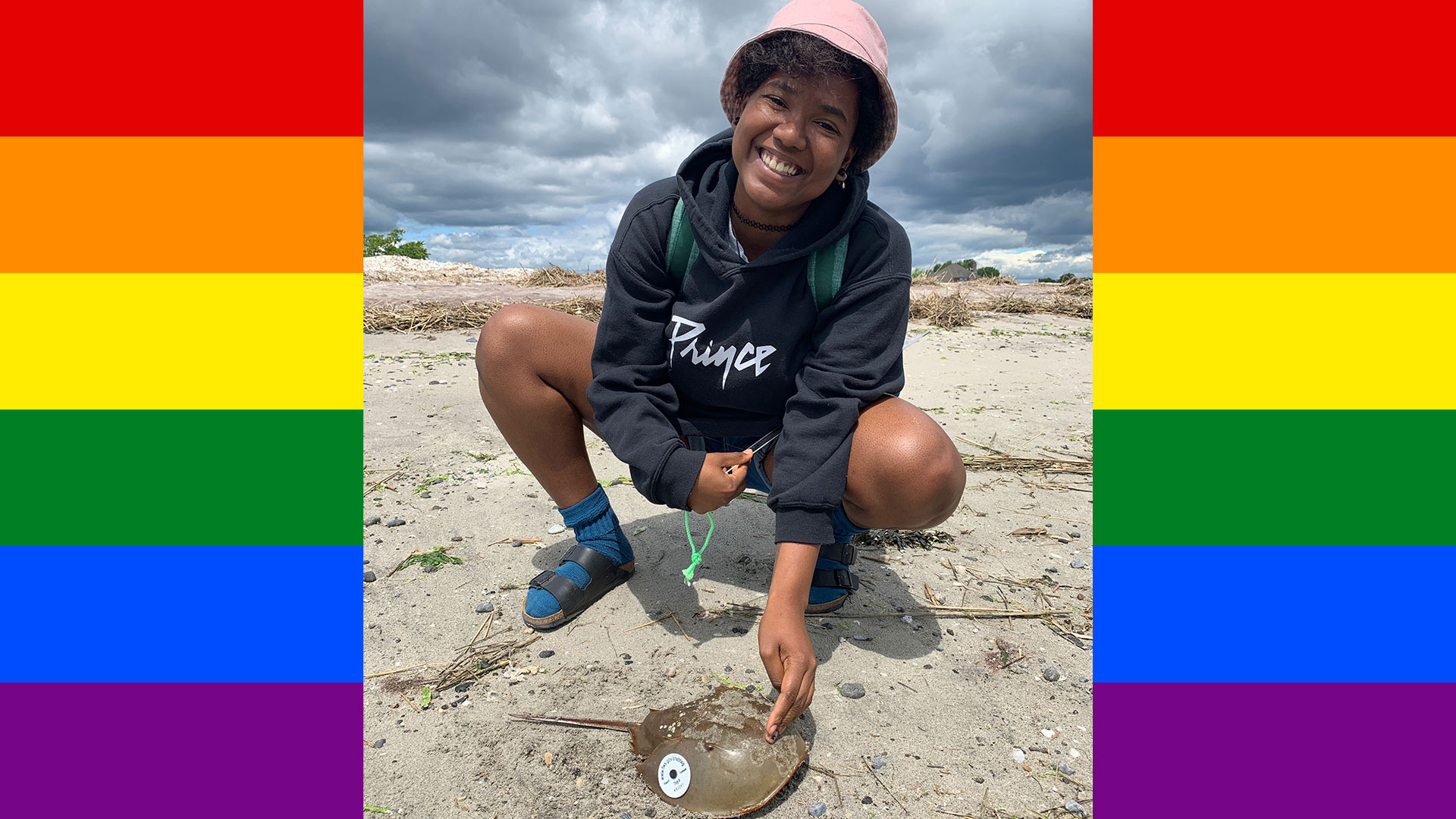 Carter at Stamford Beach in Connecticut tagging near-threatened horseshoe crabs.